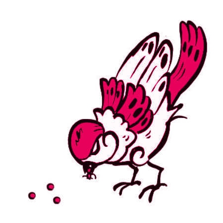 Flea Control | Sparrows Pest Control