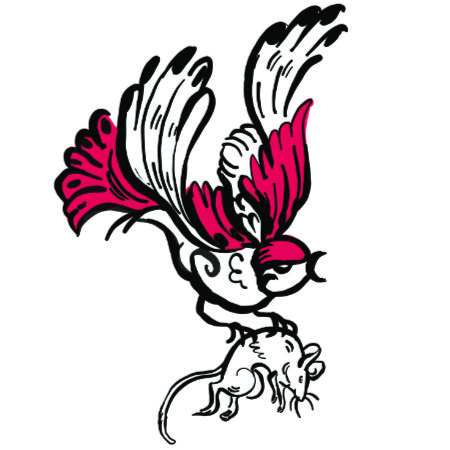 Rodent Control | Sparrows Pest Control