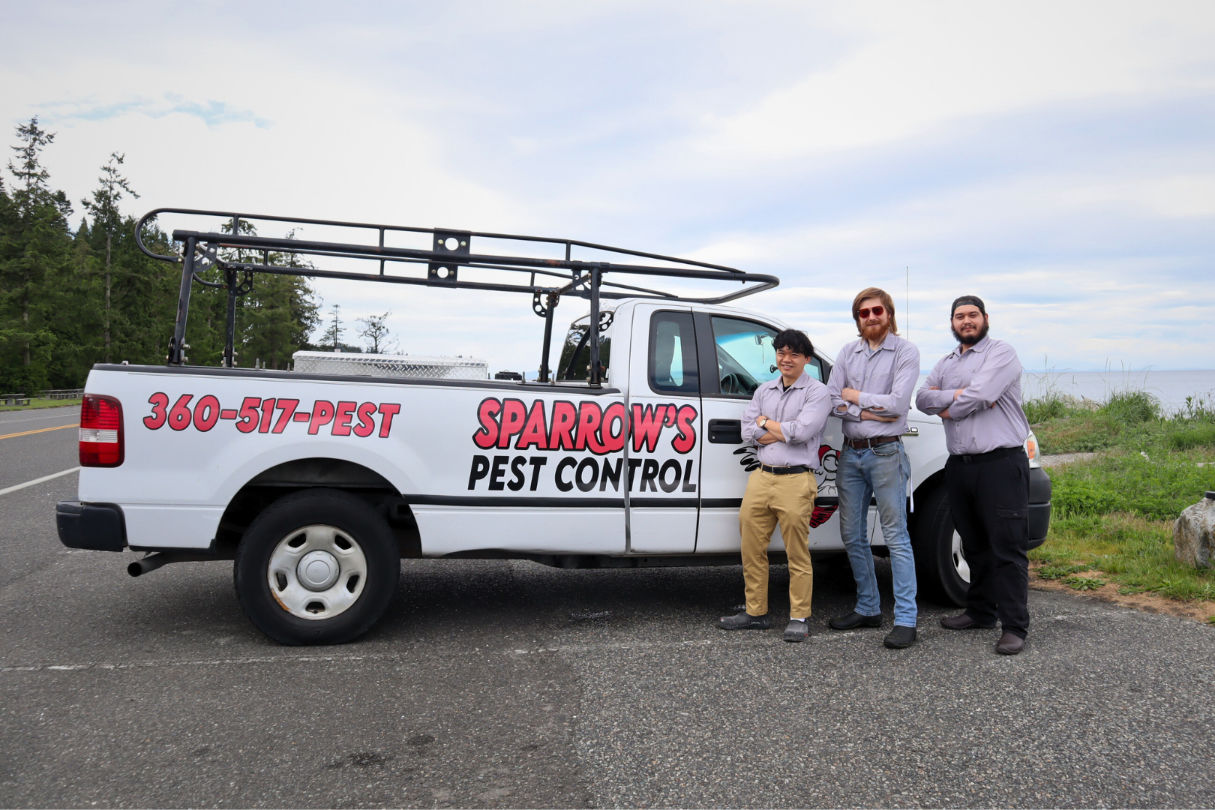 Sparrow pest control  team