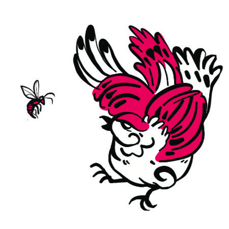 Wasp Control | Sparrows Pest Control