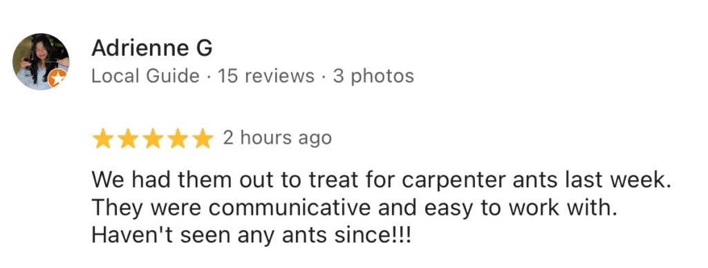 sparrows pest control customer google review 2