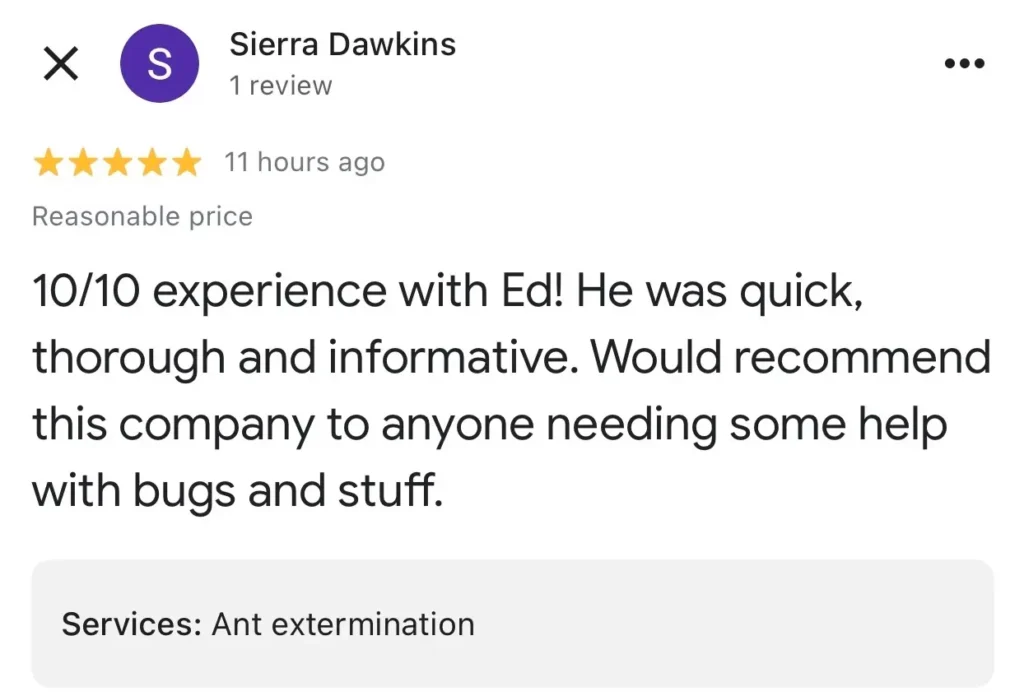 sparrows pest control customer google review